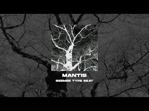 [FREE] SEEMEE x ROCKET x MAYOT TYPE BEAT - Mantis [prod. by WHAT?BOY] 140 bpm/Hard Beat/Бит