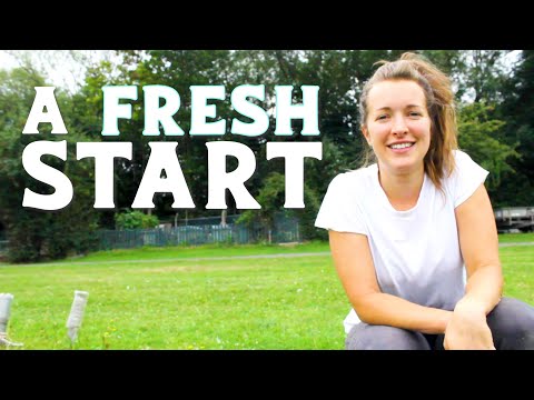 Ep19 Building an OFF GRID BUSINESS: Working from home