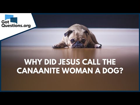 Why did Jesus call the Canaanite woman a dog? | GotQuestions.org
