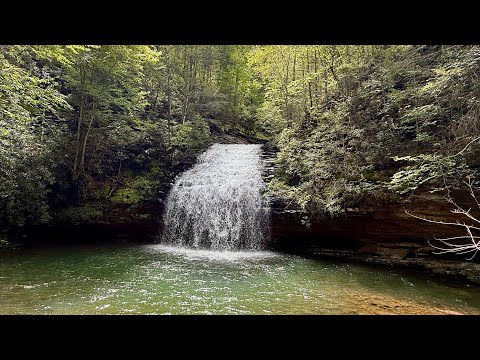 Stinging Fork Falls SNA - Spring City, Tennessee 