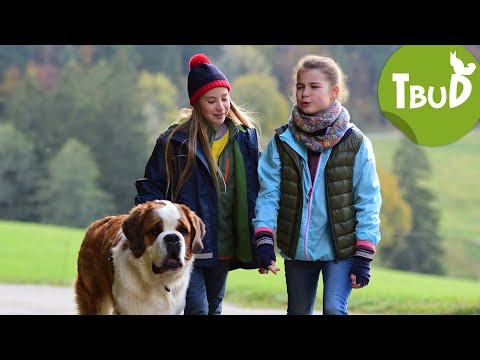 Falscher Hase (Folge 69) | Tiere bis unters Dach