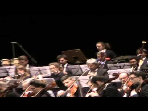 ONDA TG APPROFONDIMENTO   CAMERATA MUSICALE