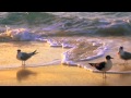 Rio And Brianna Beach Music