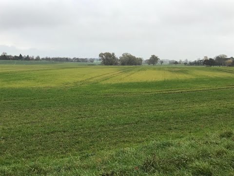 143. Feldexkursion: Helle Flecken im Getreide und  Rückblick 2019, 07.11.2019