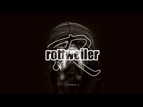 Rascal - Rottweiler #m44records