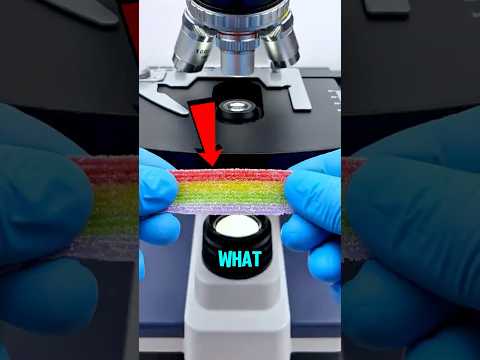 Putting Skittles Under a Microscope and This Happened‼️🤯