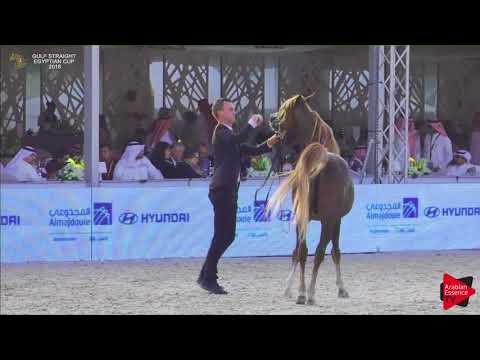 158 SHARAF AL SHAQAB   Gulf SE Cup 2018