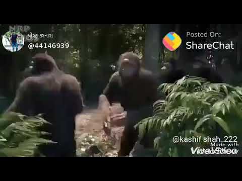 Over excited for Navratri