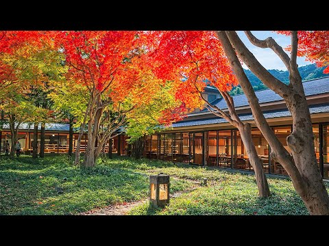 2 Days at a Hidden Onsen Ryokan in Nikko During Japan’s Autumn | KAI Kinugawa