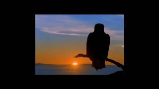 Hecate&#39;s Angels - Hidden Persuader  (Stan Ridgway &amp; Pietra Wexstun)