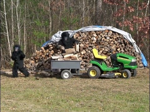 CRYPTO CLEPTOMANIACS CAUGHT ON CAMERA