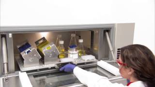 Thermo Scientific MaxQ 8000 Shakers