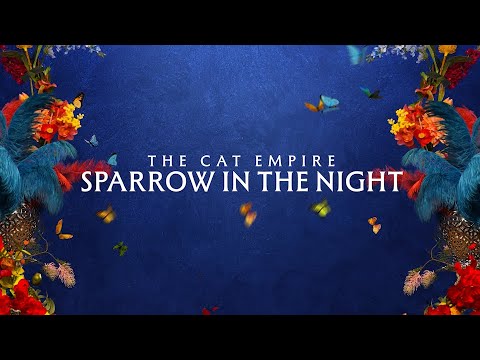 Video thumbnail for Sparrow in the Night