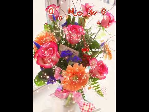 GOOD MORNING TO EVERYONE