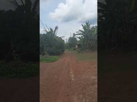 Typical African street in Sierra Leone 🇸🇱 Moyamba town West Africa 🌍 #shorts