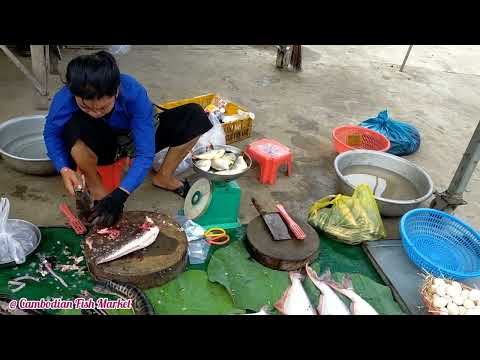 Fresh Fish Market in the Morning@Dangkor-Phnom Penh City [Cambodian Fish Markets]