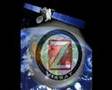 ZTV Campaign