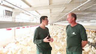 Núcleo de produção de ovos férteis em operação