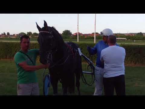 POŽAREVAC - KASAČKA TRKA ,,SRĐAN PETROVIĆ - ČIBI"