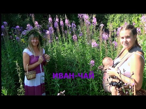 Статистика межпозвонковых грыж Мрт коленного сустава ребенку в москве адреса и цены