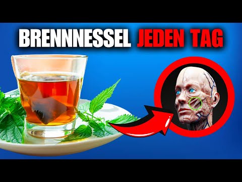 WUSSTEST DU DAS ÜBER DIE BRENNNESSEL? DAS PASSIERT, WENN DU SIE JEDEN TAG ISST.