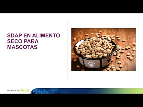 APC - Dr. Javier Polo -  CLANA 2022: Plasma en recetas de alimento seco para mascotas 