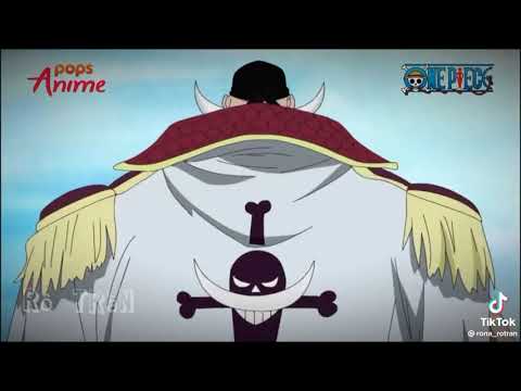 One Piece | Bố Già Râu Trắng Là 1 Huyền Thoại
