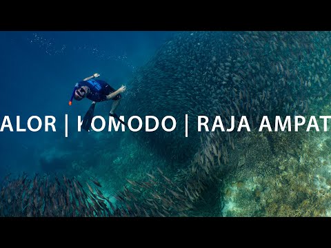 ALOR | KOMODO | RAJA AMPAT SNORKEL SAFARI IN 60