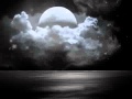 I HAVE LOVED YOU BEFORE By Melissa Etheridge