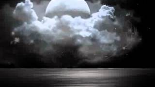 I HAVE LOVED YOU BEFORE By Melissa Etheridge