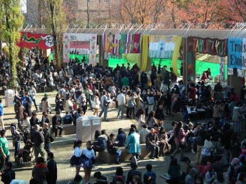 [東京外国語大学］　2013外語祭　専攻語料理店をめぐる