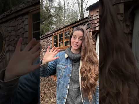 How do you build a HOUSE on a TRUCK?? #housetruck #tinyhouse #homestead #offgrid #vanlife