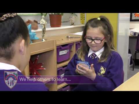 Lanesfield Primary School