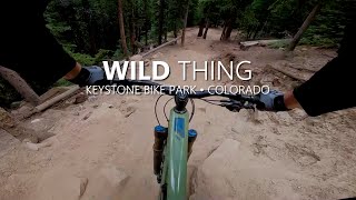 Wild Thing a very steppy black trail in the lower regions of Keystone Bike Park.