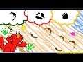Sesame Street Elmo Makes Clouds And Investigates Animal Footprints Games