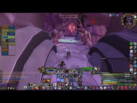WoW TbC classic hunter BM Battlegrounds farm