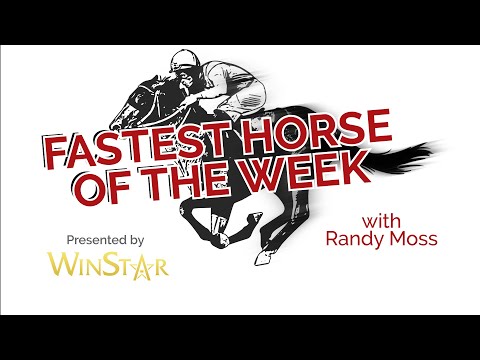 Fastest Horse of the Week for March 2, 2023: Presented by WinStar