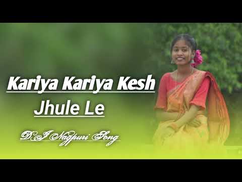 Kariya kariya kesh Jhle le dj Nagpuri song DJ Nagpuri