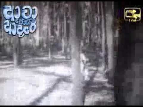 ran masuran kiri (full sinhala song)- රන් මසුරන් කිරි (movie - awa soya adare-ආවා සොයා ආදරේ)