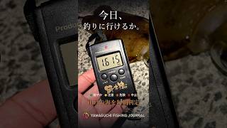 今日、釣りに行けるか。山口の海を毎朝判定｜YAMAGUCHI FISHING JOURNAL #Shorts