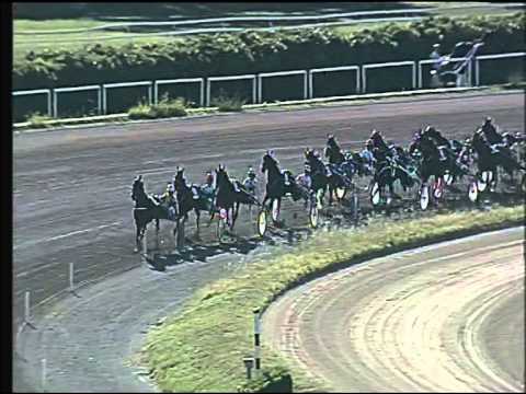 Trotto 31/05/2015 - 8° corsa - TRIS