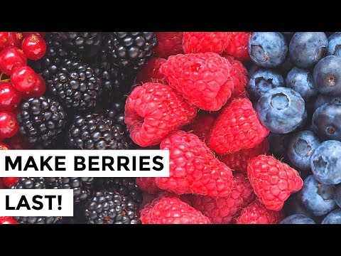 download lagu mp3 mp4 Fresh Berries, download lagu Fresh Berries gratis, unduh video klip Fresh Berries