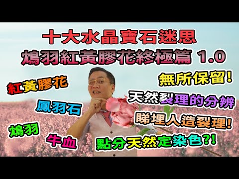 黃膠花五行