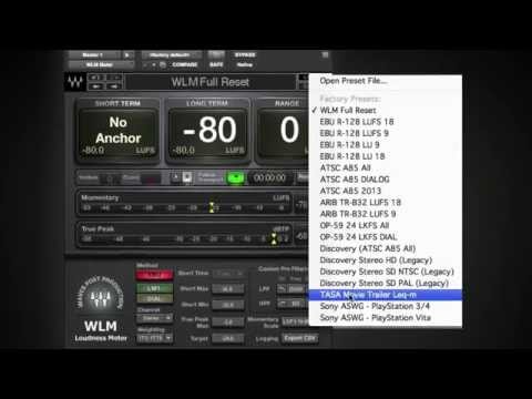 Waves Loudness Meter - Quick Start Guide