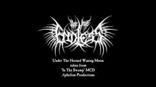 The True Endless - Under The Horned Waning Moon