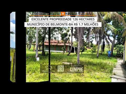 EXCELENTE PROPRIEDADE 126 HECTARES BELMONTE-BA R$ 1.7 MILHÕES #luxo #fazenda #gado #bahia #agro 