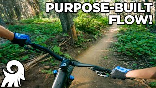 Brundage to Bear Basin / McCall, ID Mountain Biking