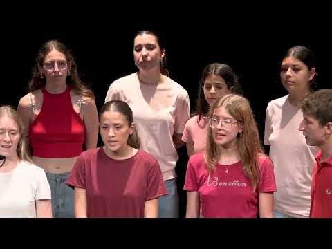 Coro del liceo classico e linguistico F. Petrarca | Happy (P. Williams - M. Brymer)