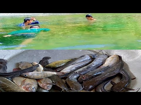 SUK-SUKISOK YT PART 2:PAMAMANA SA ILOG //TRADITIONAL WAY OF CATCHING FISH // BUHAY PROBINSYA