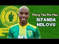 Siyanda Ndlovu New Mamelodi Sundowns Player 2026 Goals And Skills